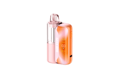 Geek Bar Mate 60K Disposable Kit — Watermelon Ice
