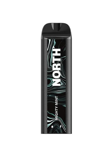 NORTH 5000 Disposable Vape — Mighty Mint