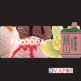 Rover Robox 6000 Puff Dual Mesh Coil — Falooda