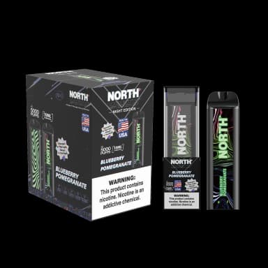 NORTH 5000 Disposable Vape — Blueberry Pomegranate