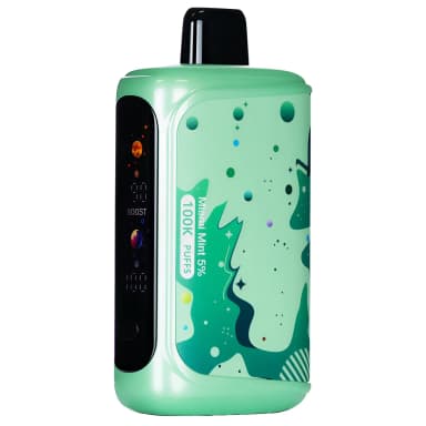 Horizontech 100K Puff 40ML Disposable — Miami Mint