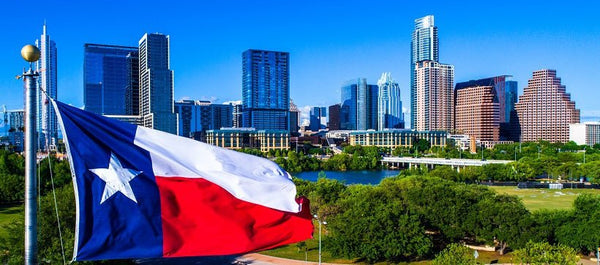 Texas-Compliant Disposables Explained (SB 2024 Guide) - Big D Vapor