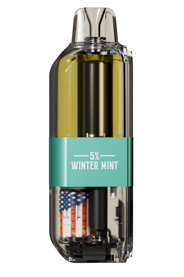 Winter Mint vape disposable