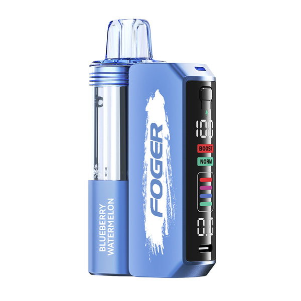 Foger Switch Pro Kit - 30K Puff Pod Based Disposable vape flavors Blueberry Watermelon