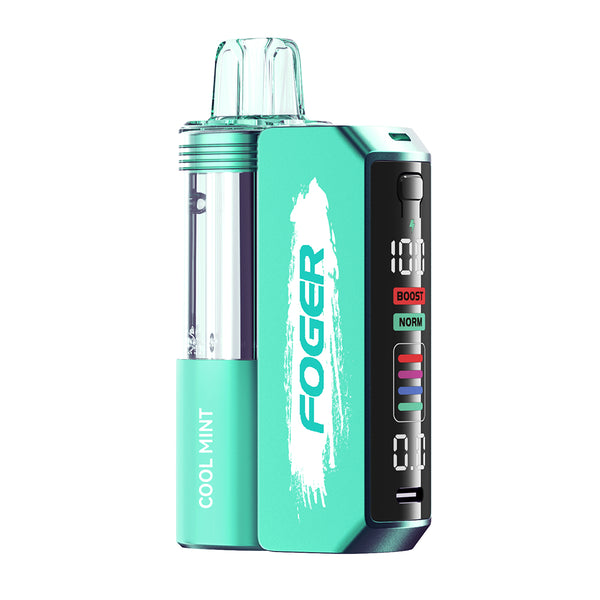 Foger Switch Pro Kit - 30K Puff Pod Based Disposable vape flavors Cool Mnt