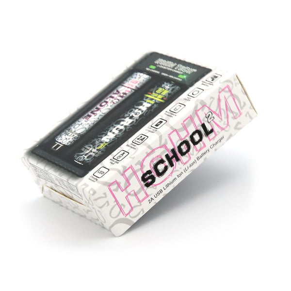 HOHM SCHOOL 2A 2 Bay Battery Charger