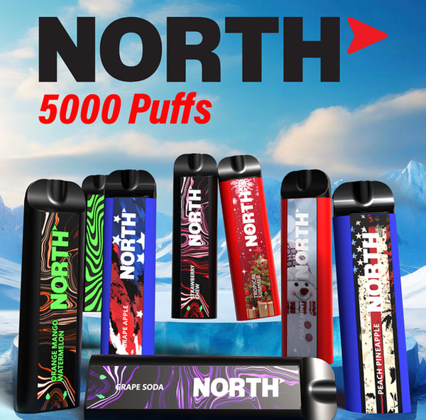 North 5000 disposable vape device with sleek black design and compact size, ideal for convenient vaping on the go.