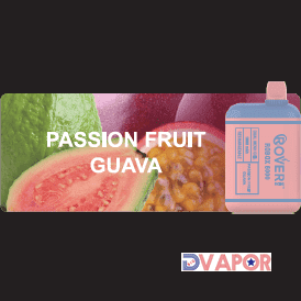 Rover Robox 6000 Puff Dual Mesh Coil Disposable with Keychain