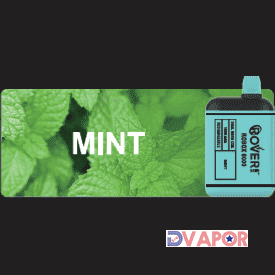 Rover Ecig Rover Robox 6000 Puff disposable vape with dual mesh coil, showing the sleek cylindrical device and mouthpiece.