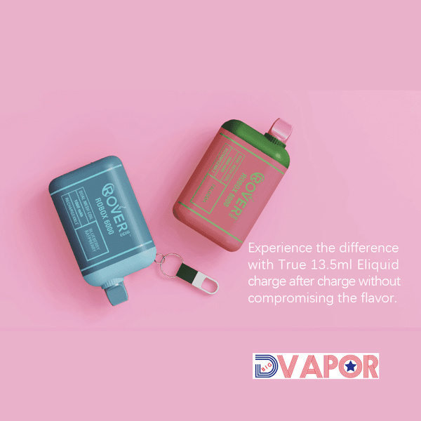 Rover Ecig Rover Robox 6000 Puff disposable vape with dual mesh coil and sleek design, non-refundable clearance product