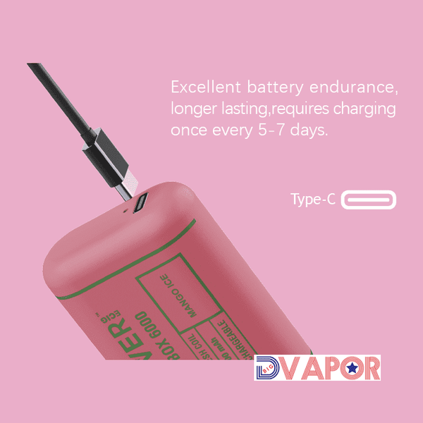 Rover Ecig Rover Robox 6000 Puff disposable vape with dual mesh coil, shown with sleek black design and compact shape.