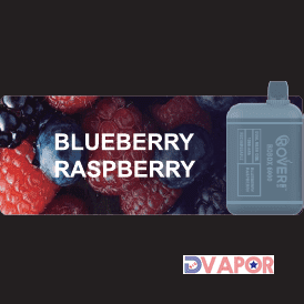 Rover Ecig Rover Robox 6000 Puff disposable vape with dual mesh coil, showing the sleek device and mouthpiece.