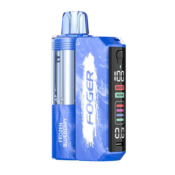 Foger Switch Pro Kit - 30K Puff Pod Based Disposable vape flavors Frozen blueberry