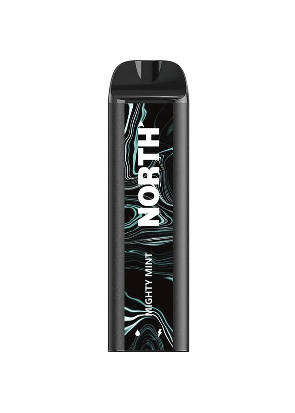 NORTH 5000 Disposable Vape device in Mighty Mint flavor, featuring sleek design and visible branding on the black vape device.