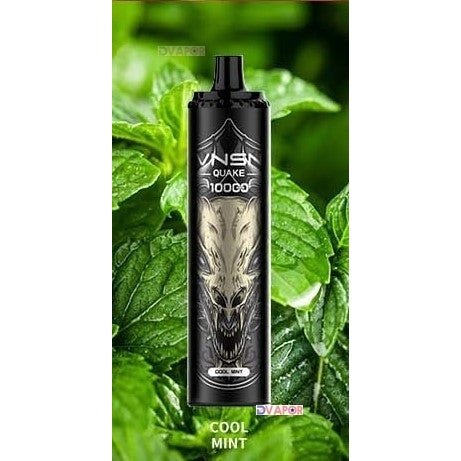 FLASH SALE VNSN Quake 10,000 Puff | 20ml